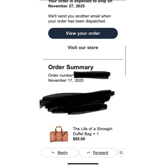 New Taylor Swift The Life of a Showgirl Duffel Bag TLOASG In Hand Free Shipping - Picture 4 of 7